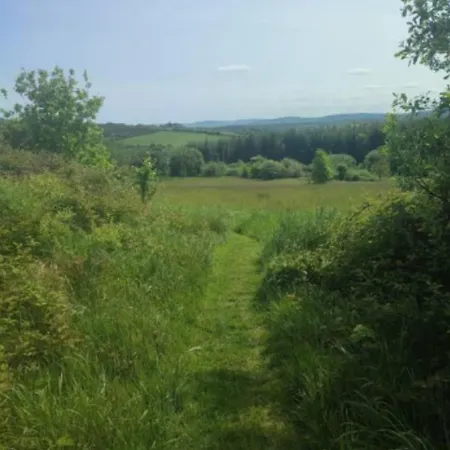 Bilberry Boreen Camping